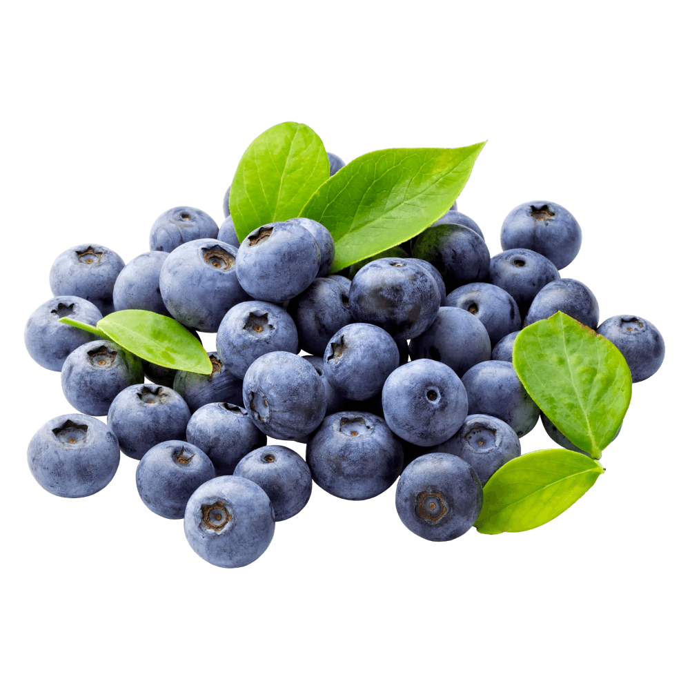 /home-images/blueberries.png